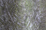 Scald End fibreglass roof work